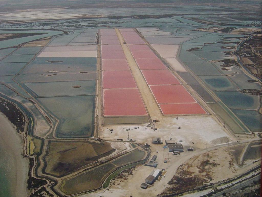 Alojamiento Rural Coto de la Isleta El Puerto de Santa María Exterior foto